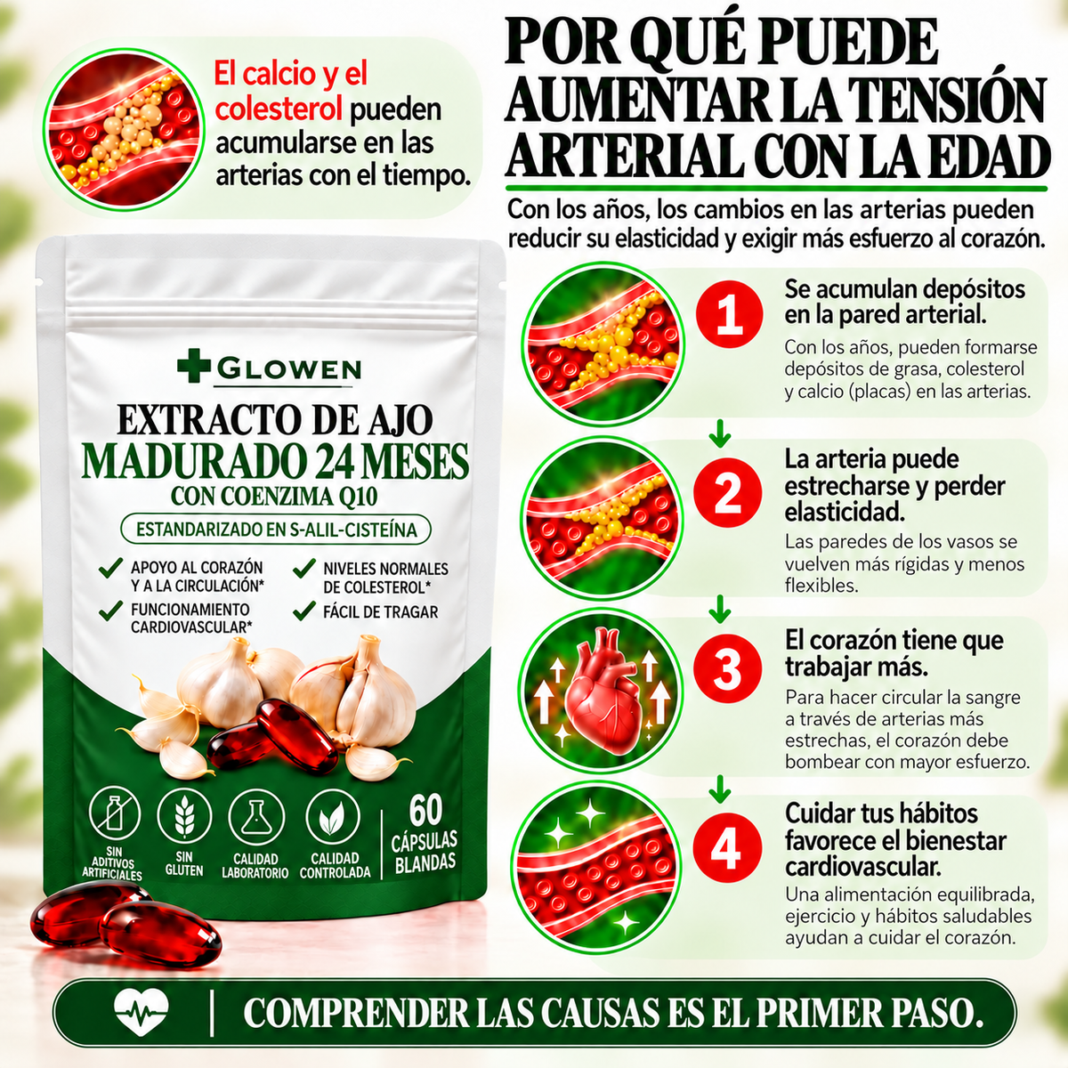 Glowen Knovita – Extracto de ajo envejecido 24 meses con CoQ10 y vitamina K2